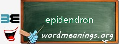 WordMeaning blackboard for epidendron